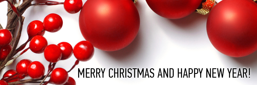 We Wish You a Merry Christmas and a Happy New Year!
