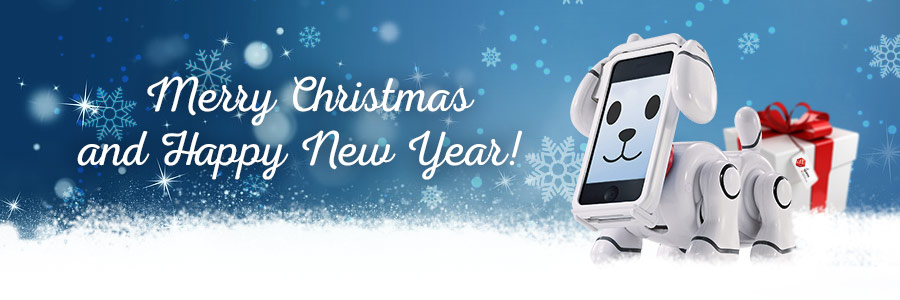 Merry Christmas and Happy New Year!