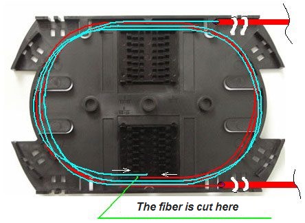 Co-directional modeule