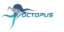 Octopus Box