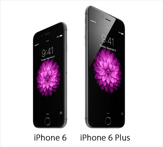 iPhone 6 &  iPhone 6 Plus